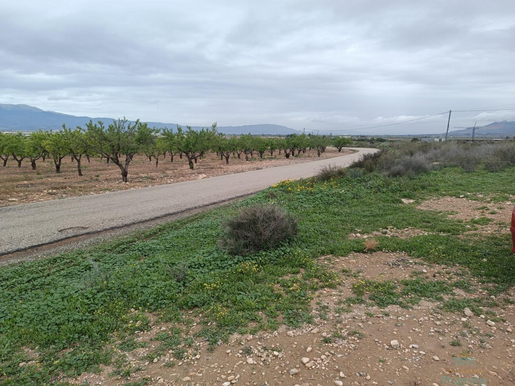 Venta de terreno en Totana