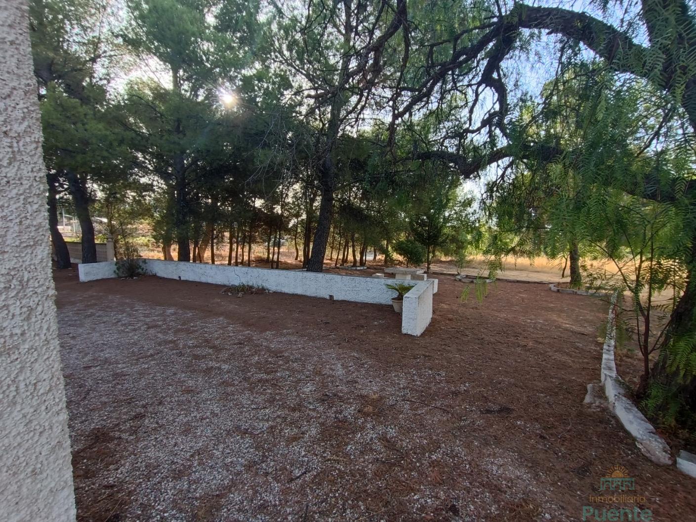 Terreno