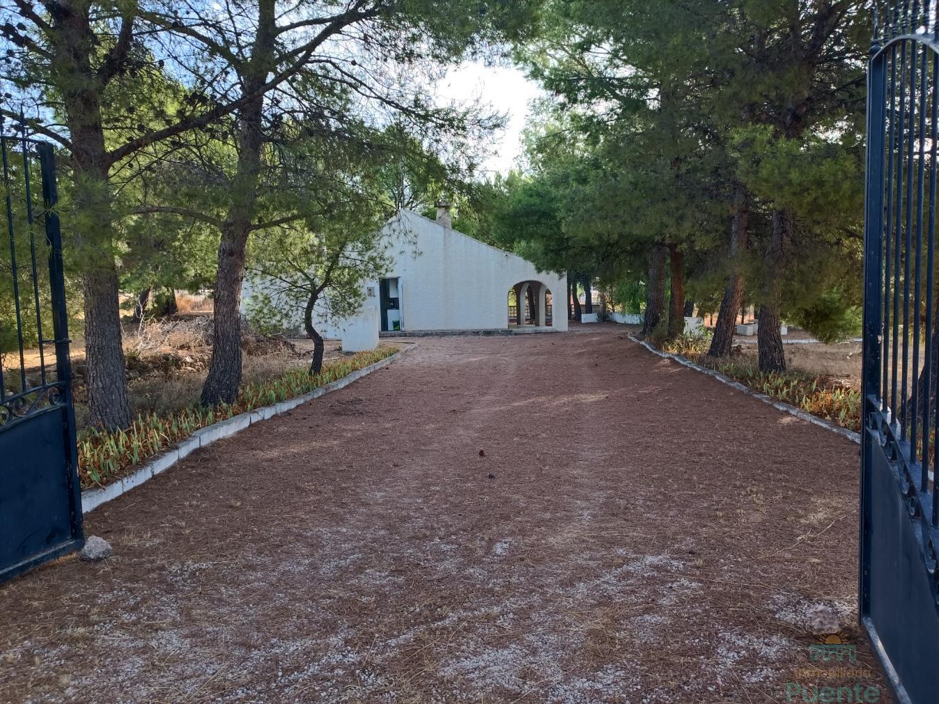 Terreno