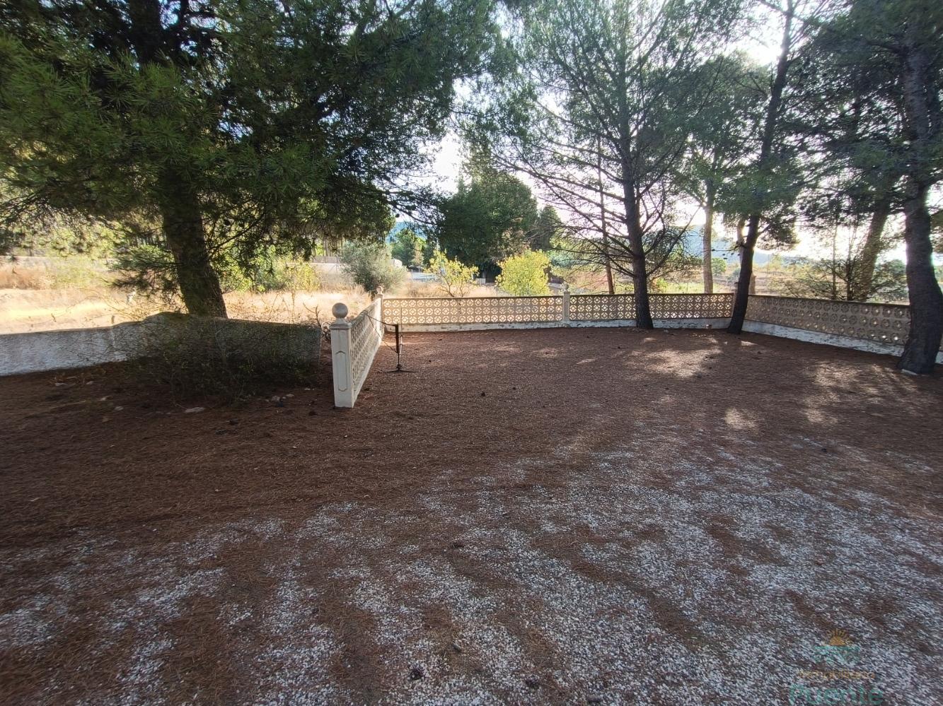 Terreno