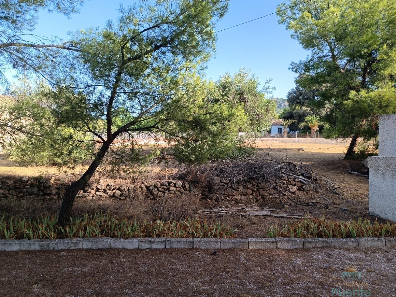 Terreno