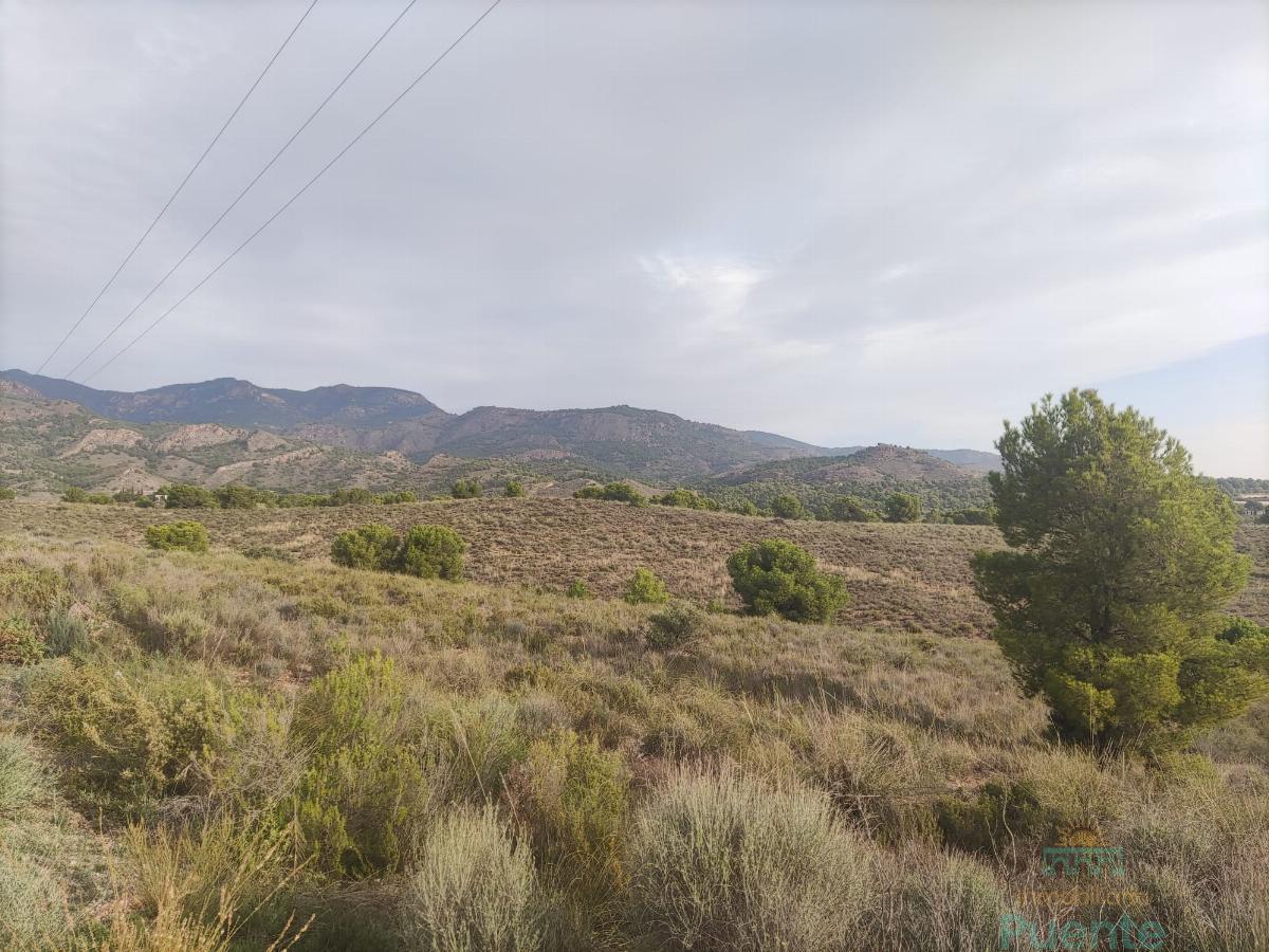 For sale of land in Totana
