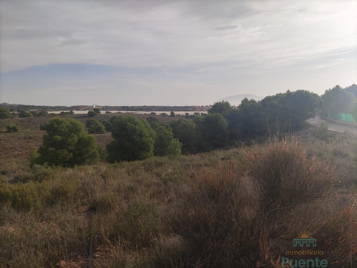 For sale of land in Totana