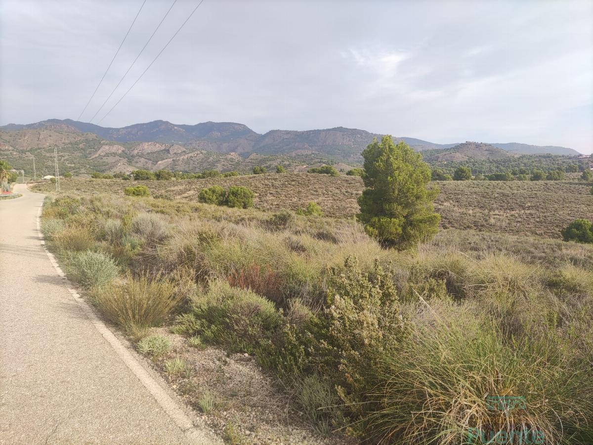 For sale of land in Totana