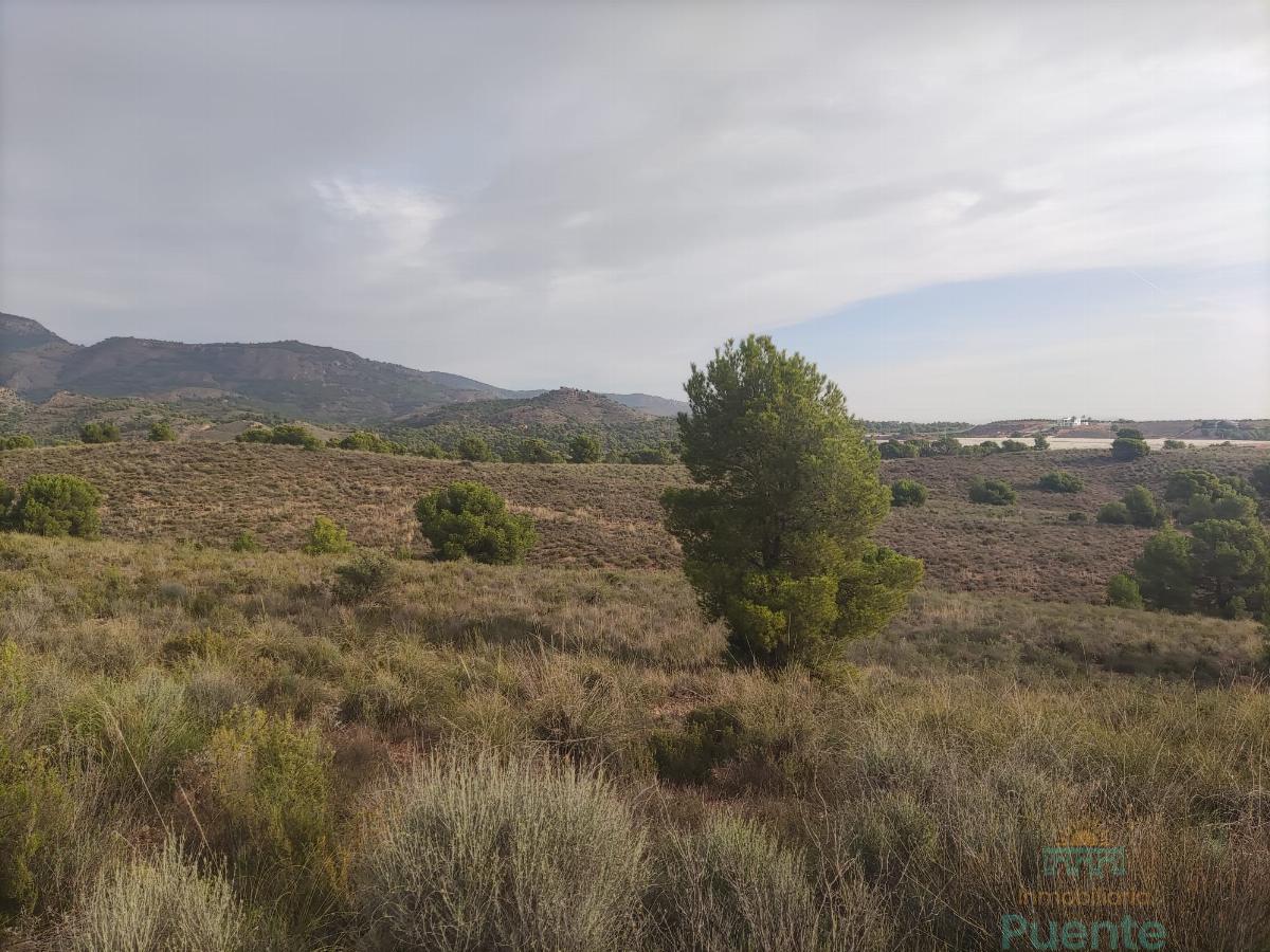 For sale of land in Totana