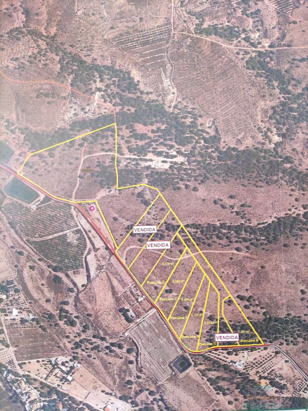 For sale of land in Totana