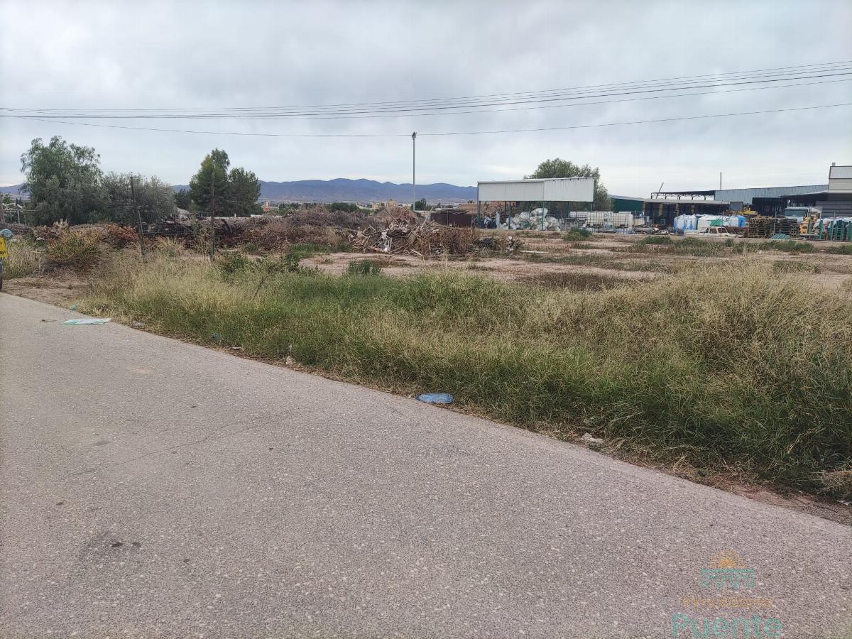 For sale of land in Totana