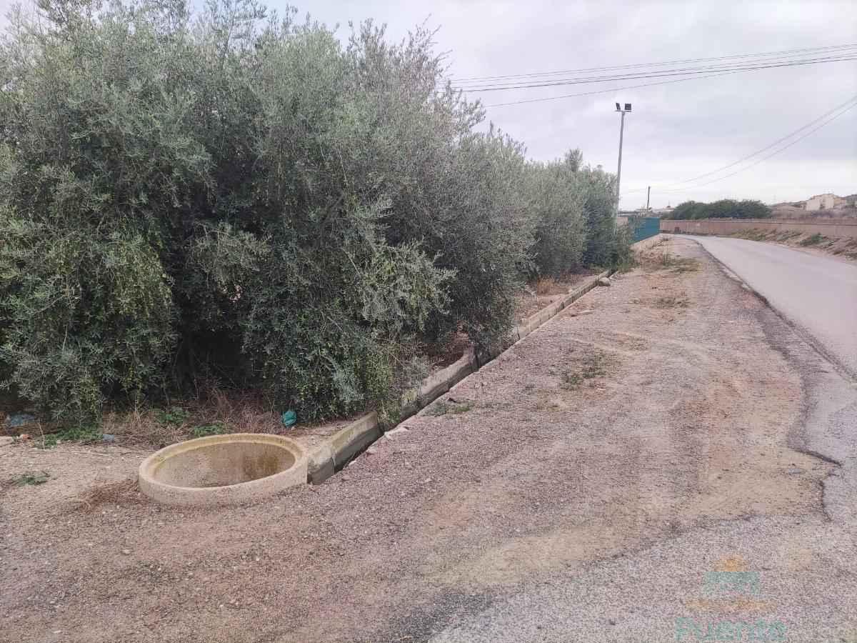 Venta de terreno en Totana
