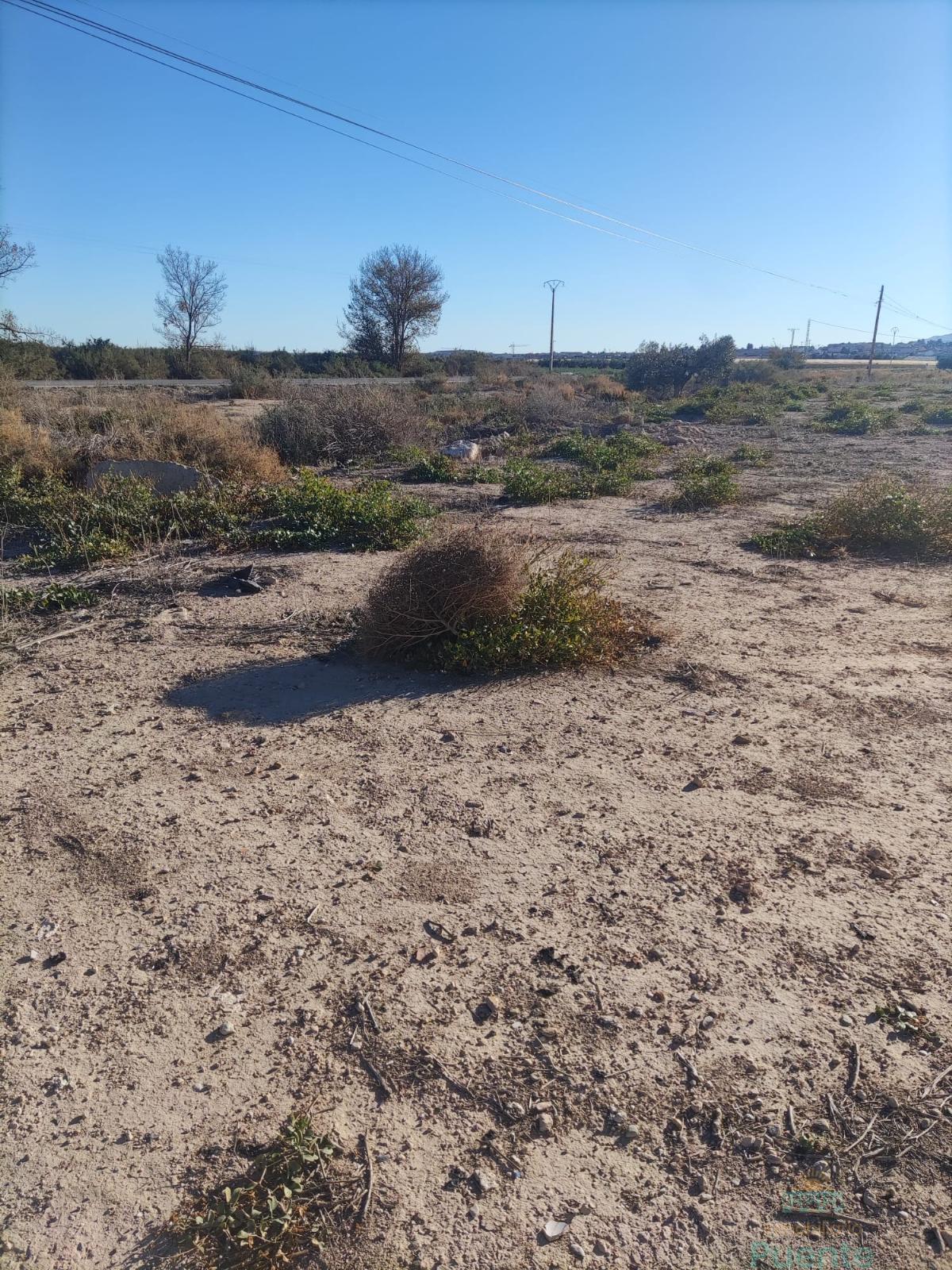 For sale of land in Totana