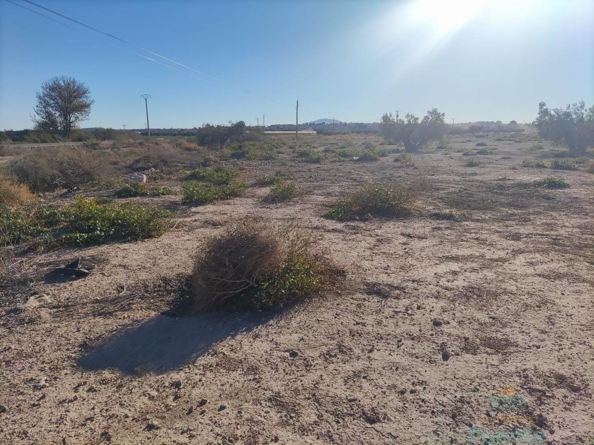 For sale of land in Totana
