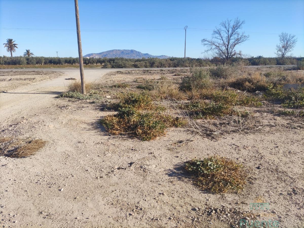 Venta de terreno en Totana