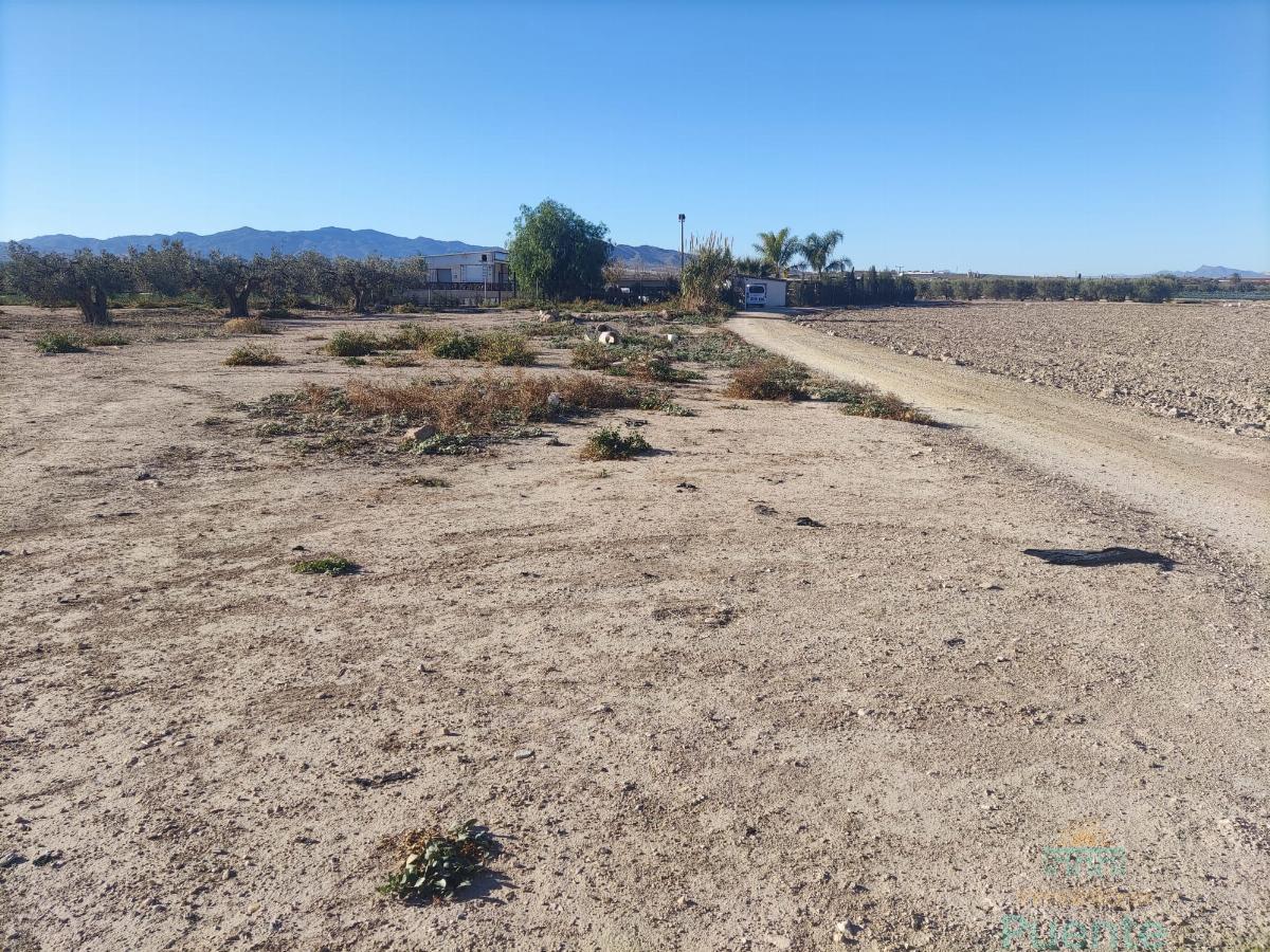 For sale of land in Totana