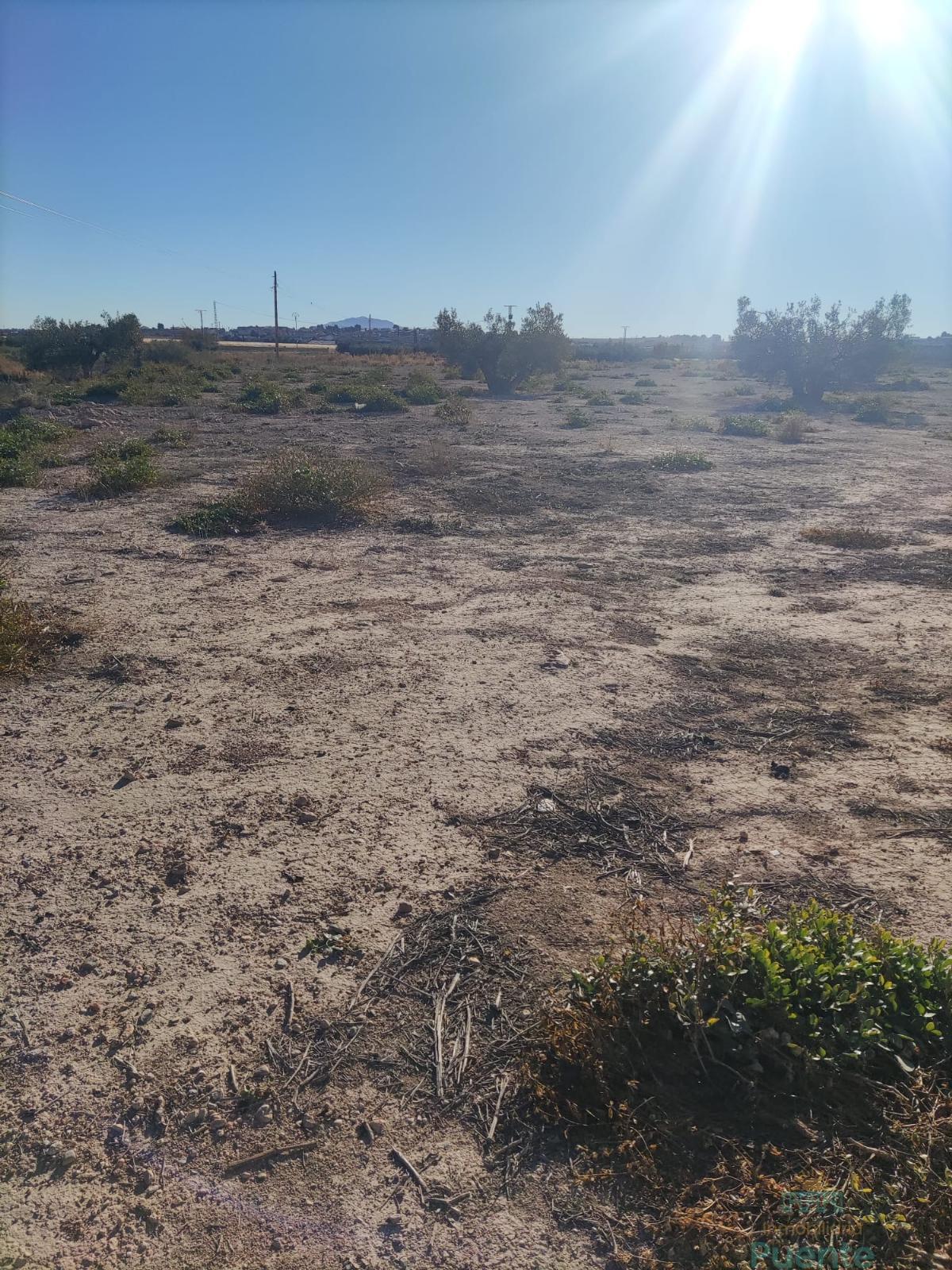 For sale of land in Totana
