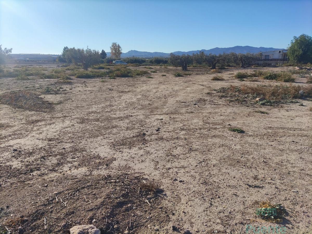 For sale of land in Totana
