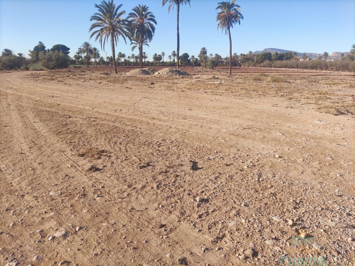 For sale of land in Totana