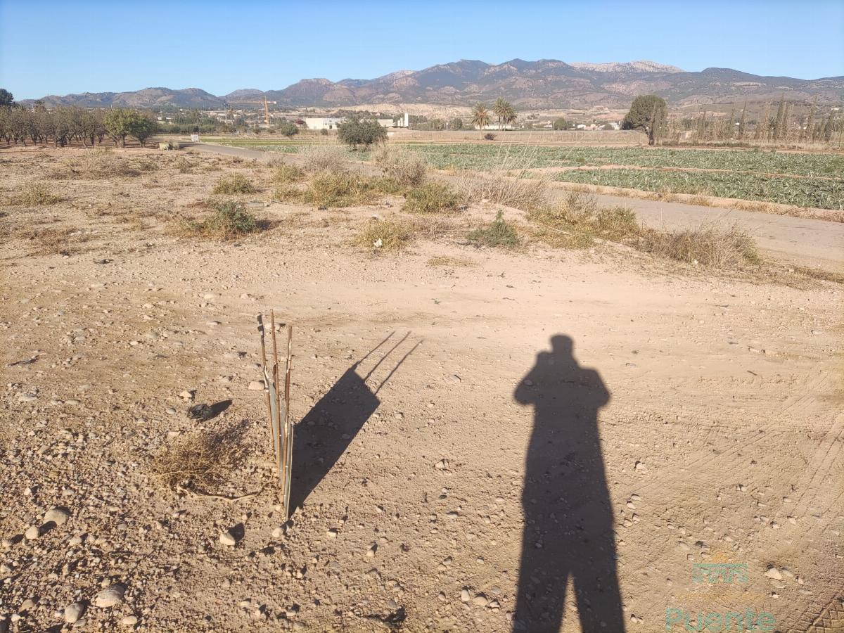 For sale of land in Totana