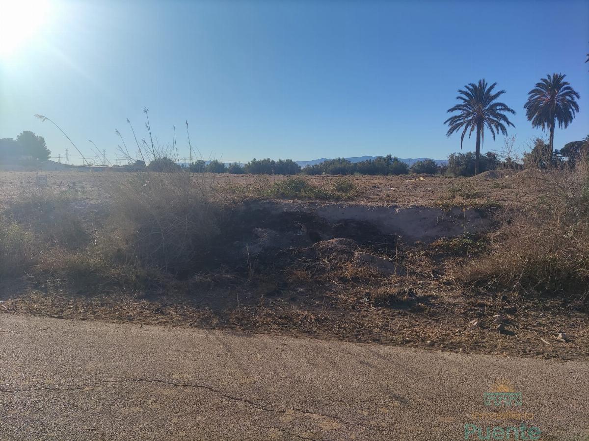 For sale of land in Totana