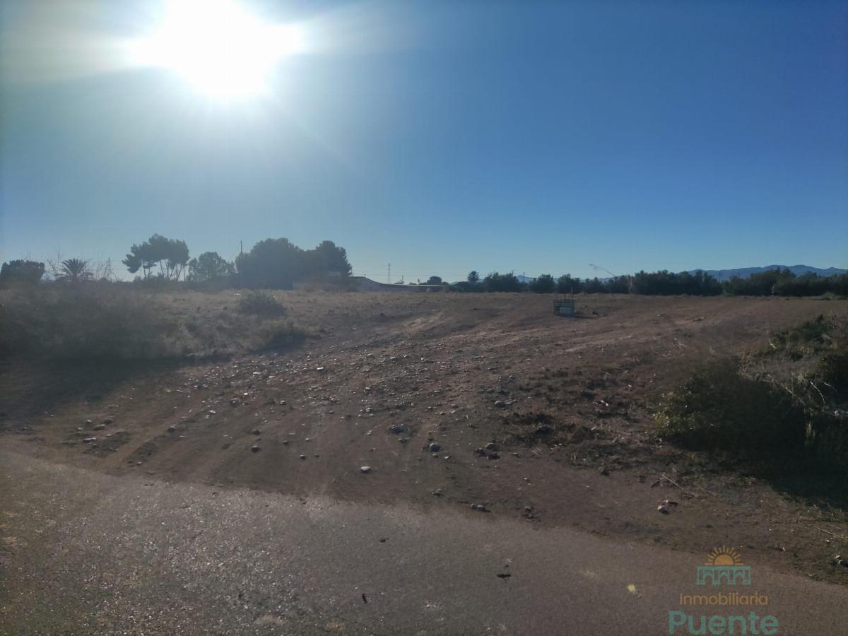 For sale of land in Totana