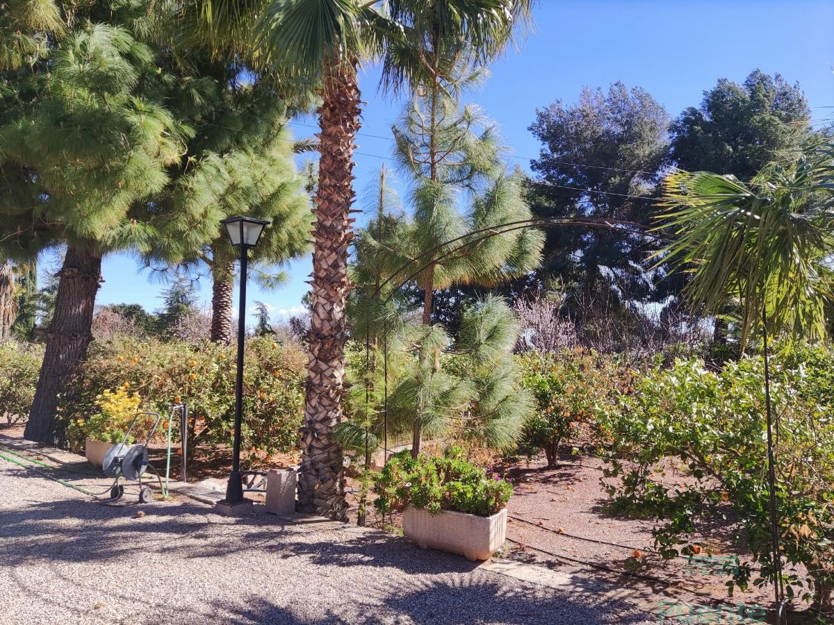 For sale of chalet in Totana