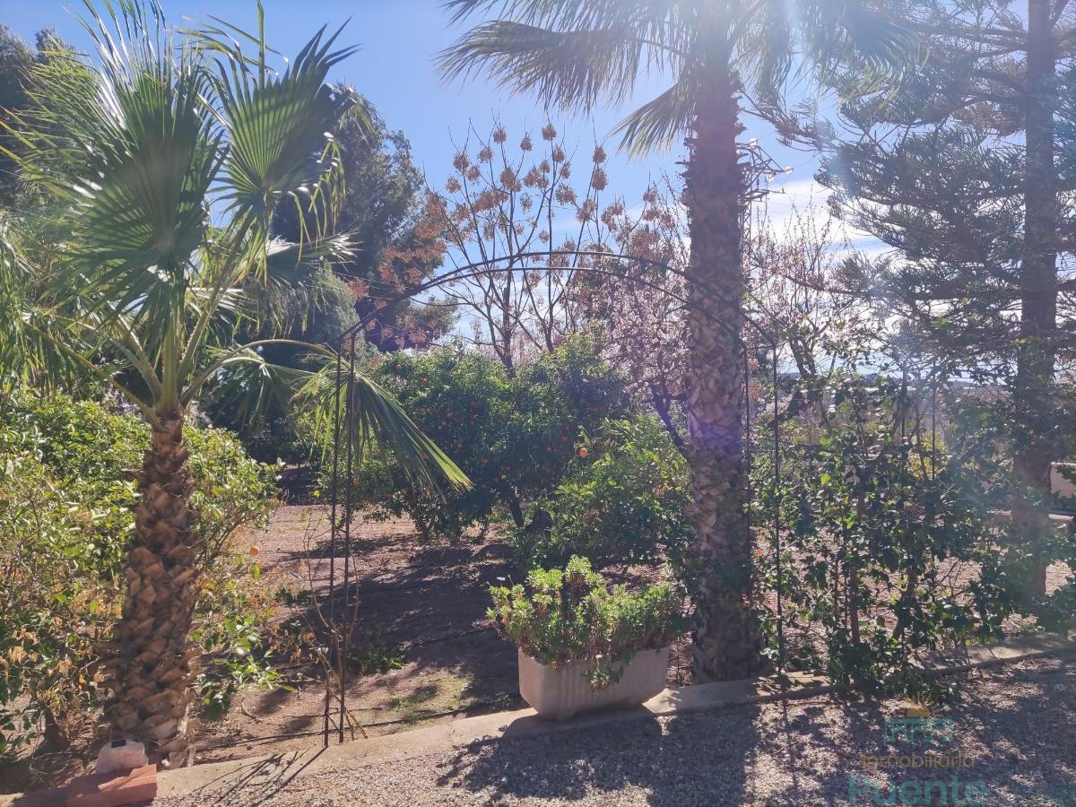 For sale of chalet in Totana