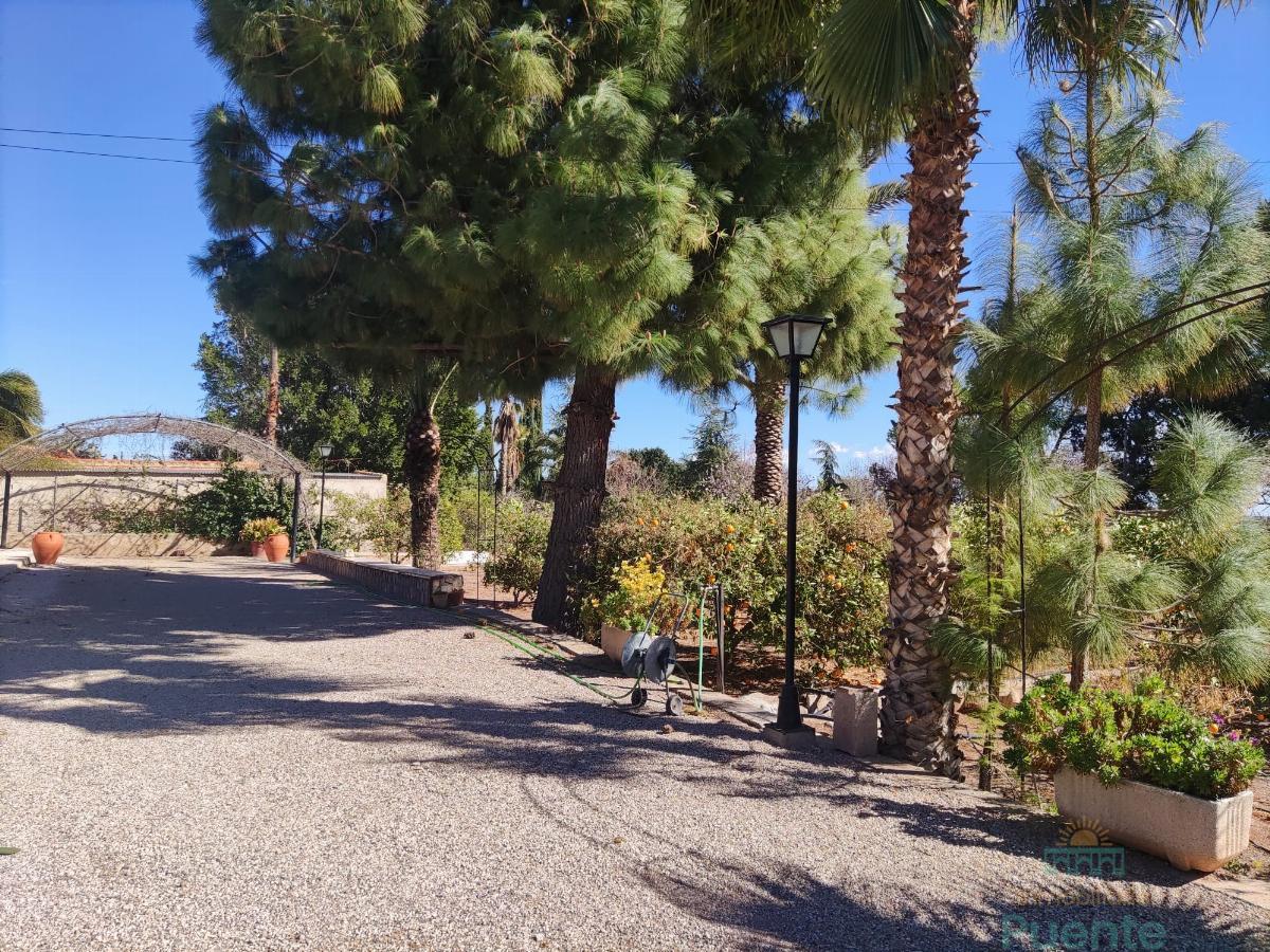 For sale of chalet in Totana