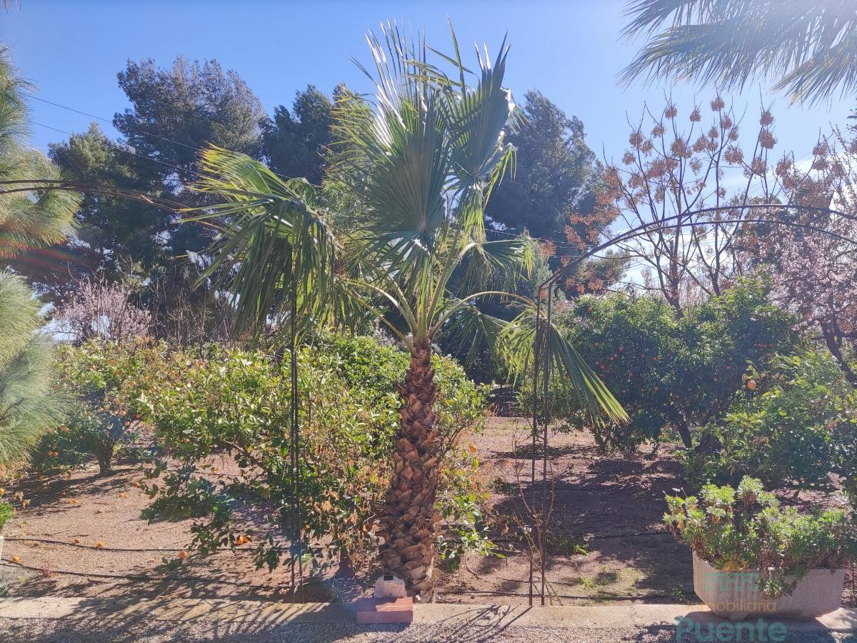For sale of chalet in Totana
