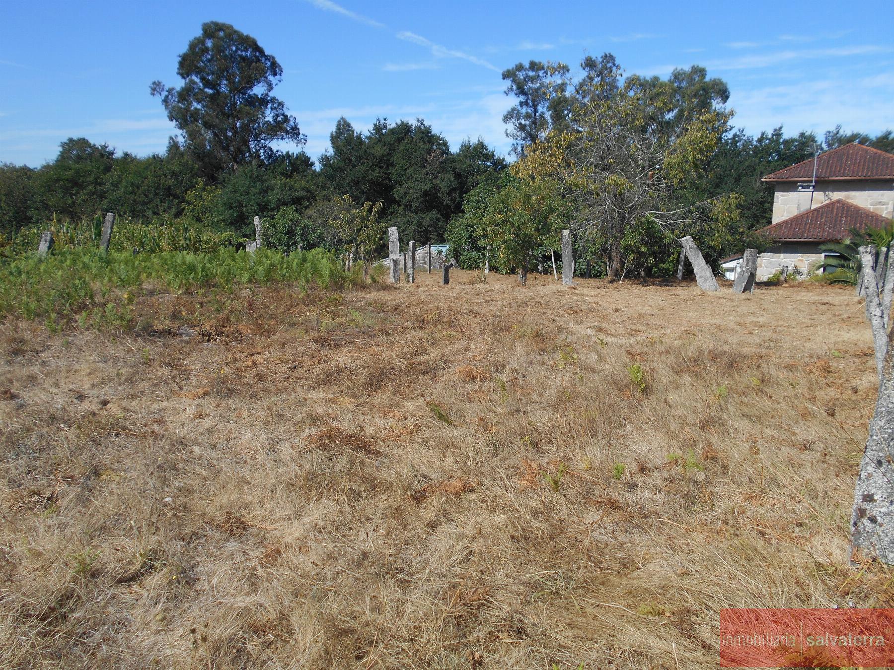 Venta de terreno en Salvaterra de Miño