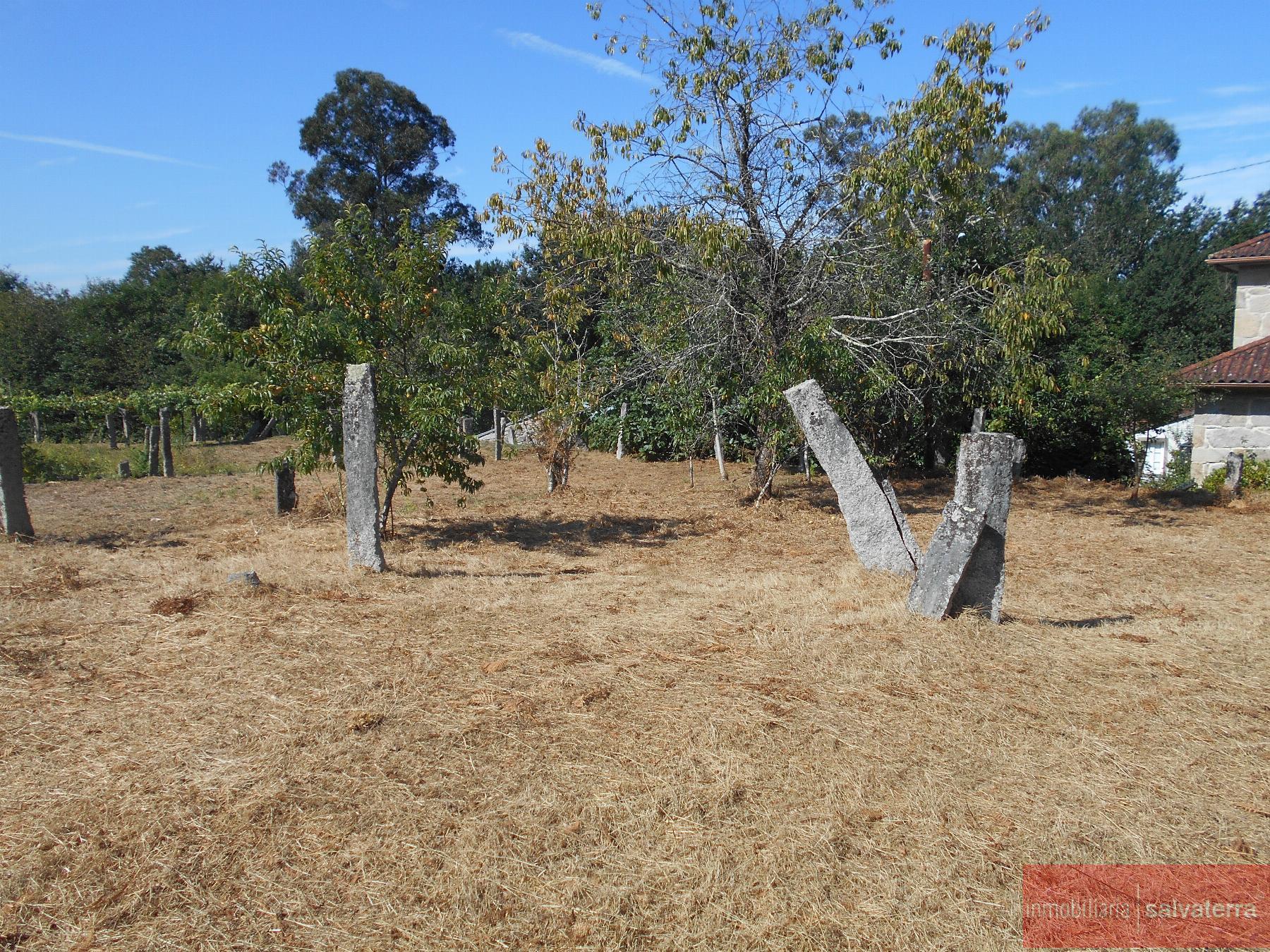 Venta de terreno en Salvaterra de Miño