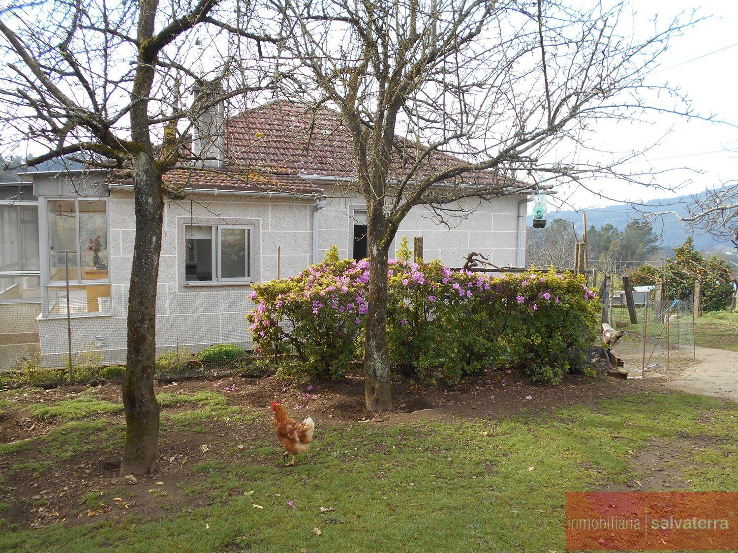 For sale of chalet in Crecente