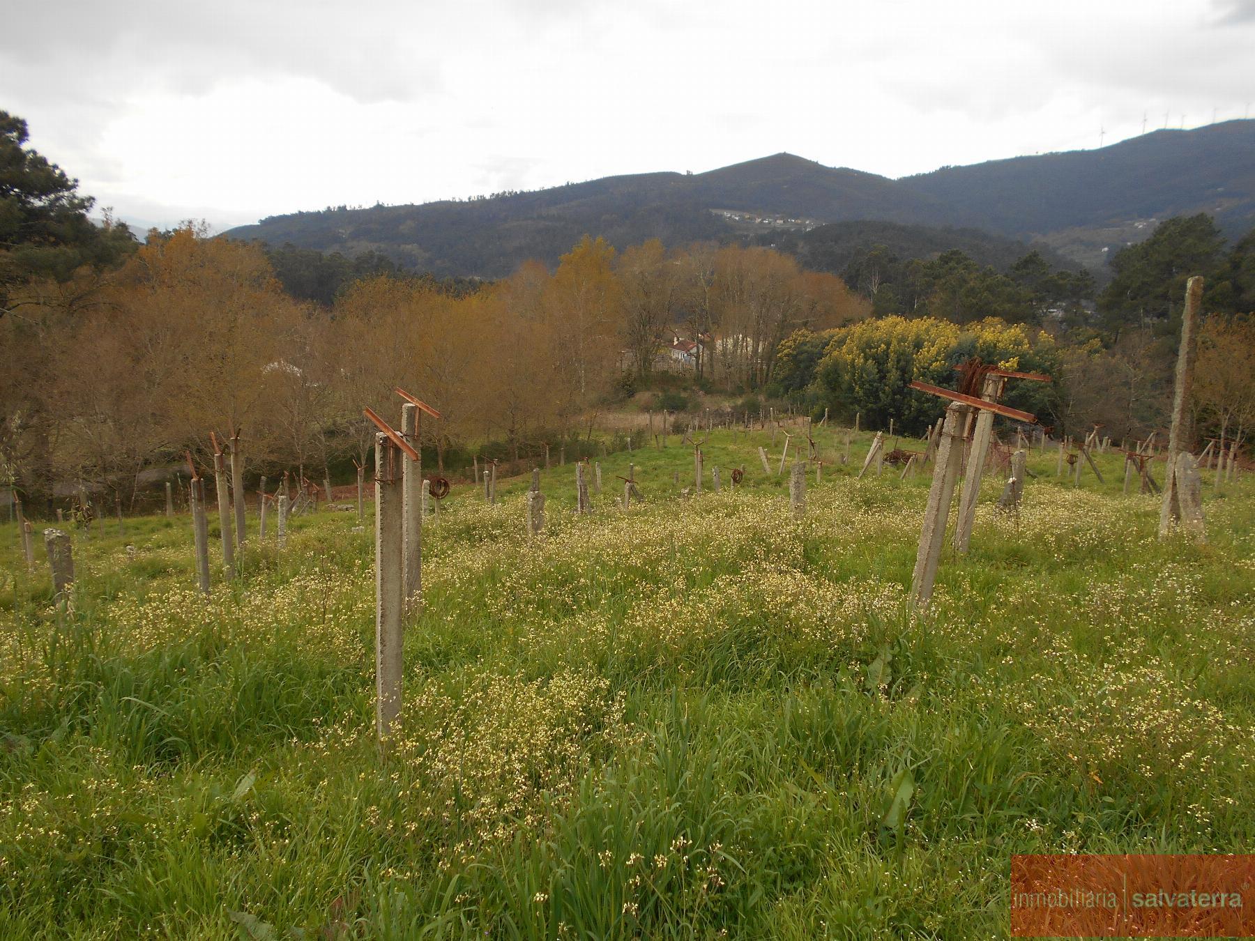 For sale of house in Arbo