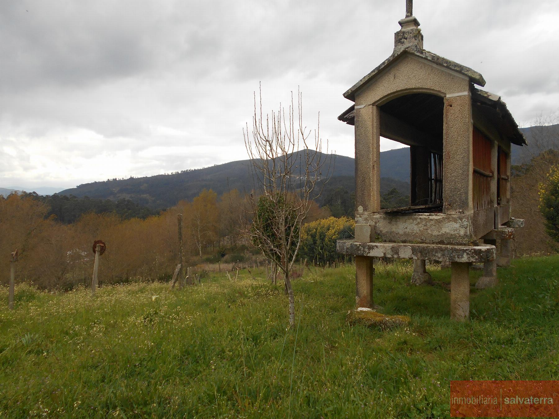 For sale of house in Arbo