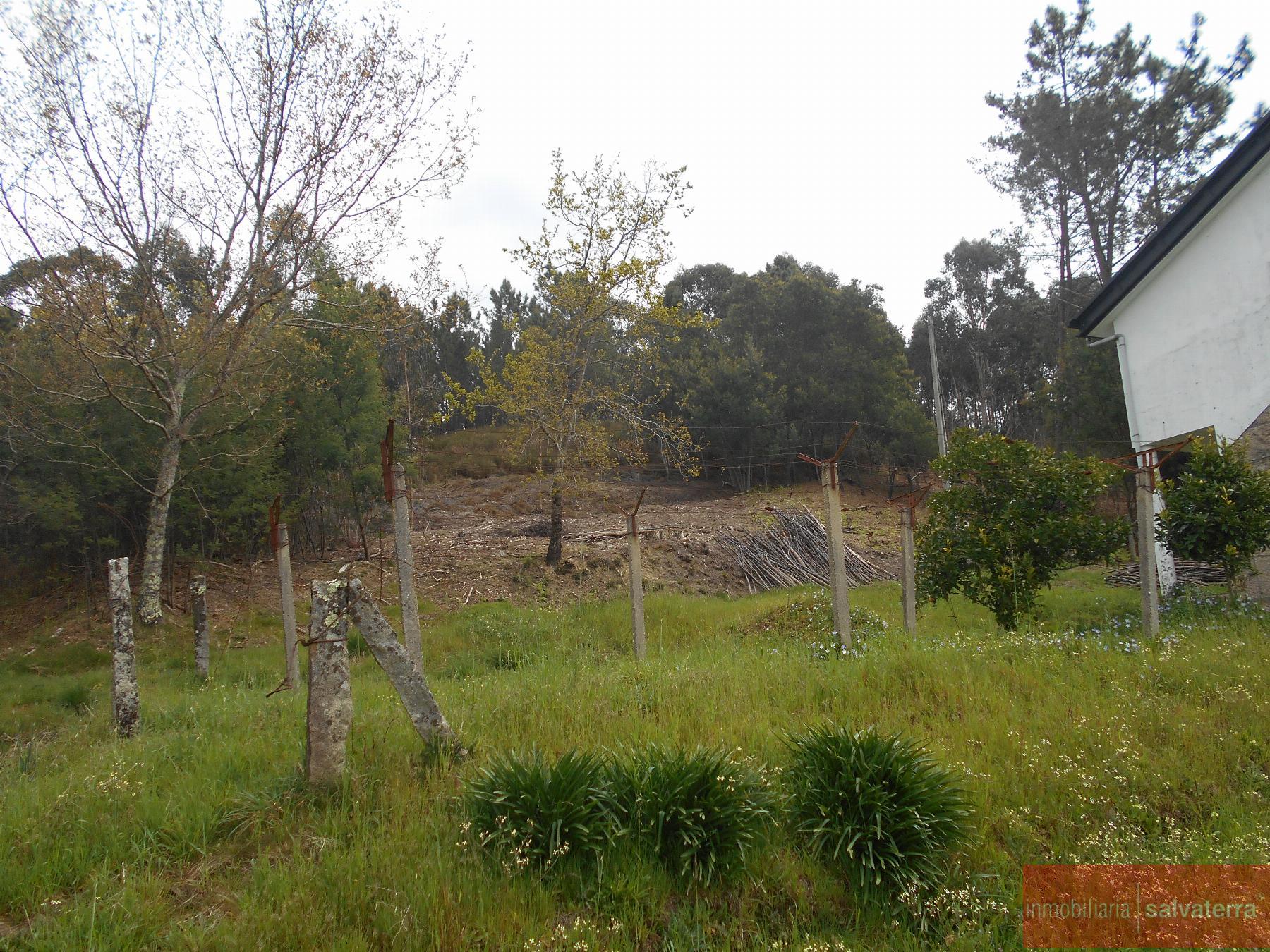 For sale of house in Arbo