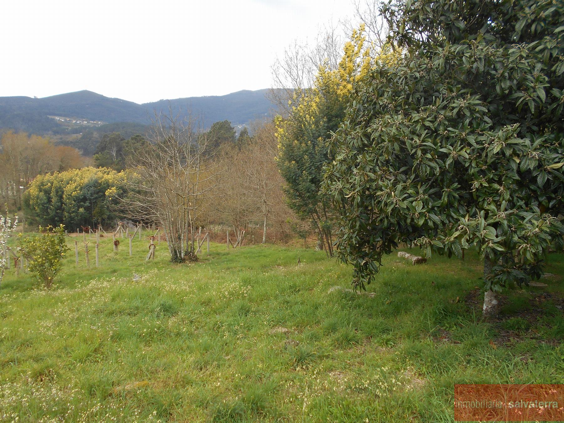 For sale of house in Arbo