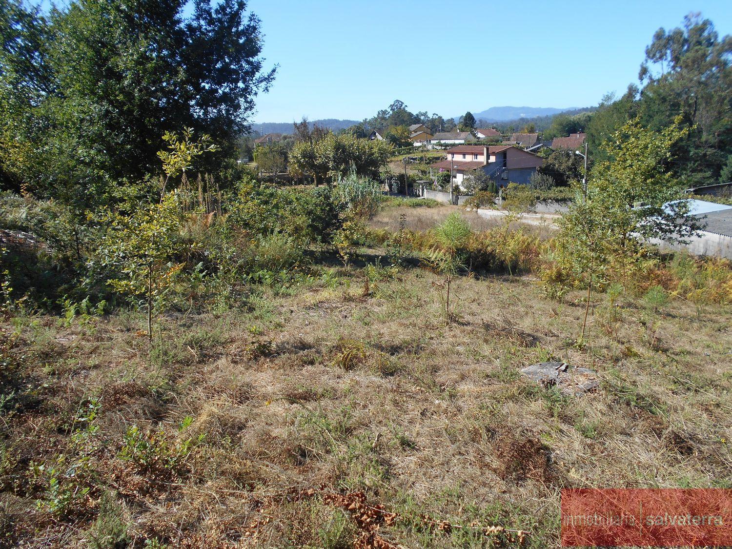 For sale of land in Salvaterra de miño