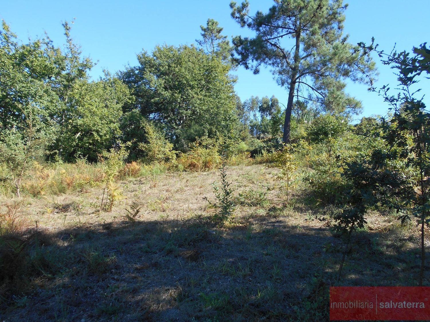 For sale of land in Salvaterra de miño