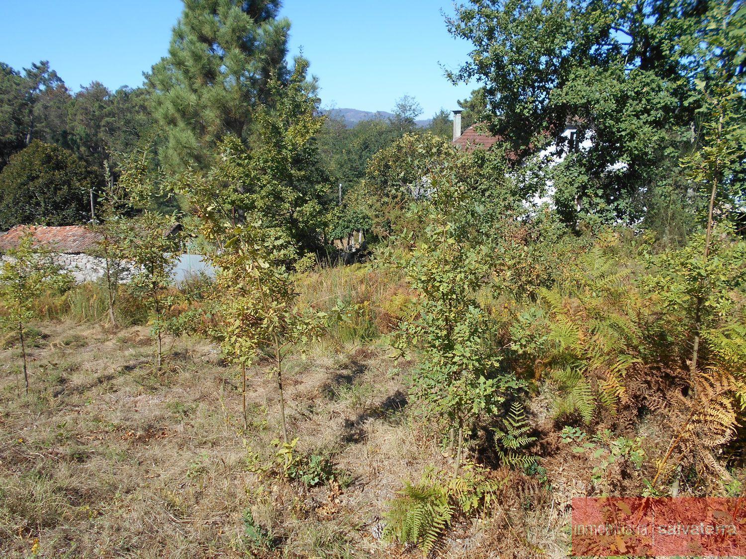 For sale of land in Salvaterra de miño