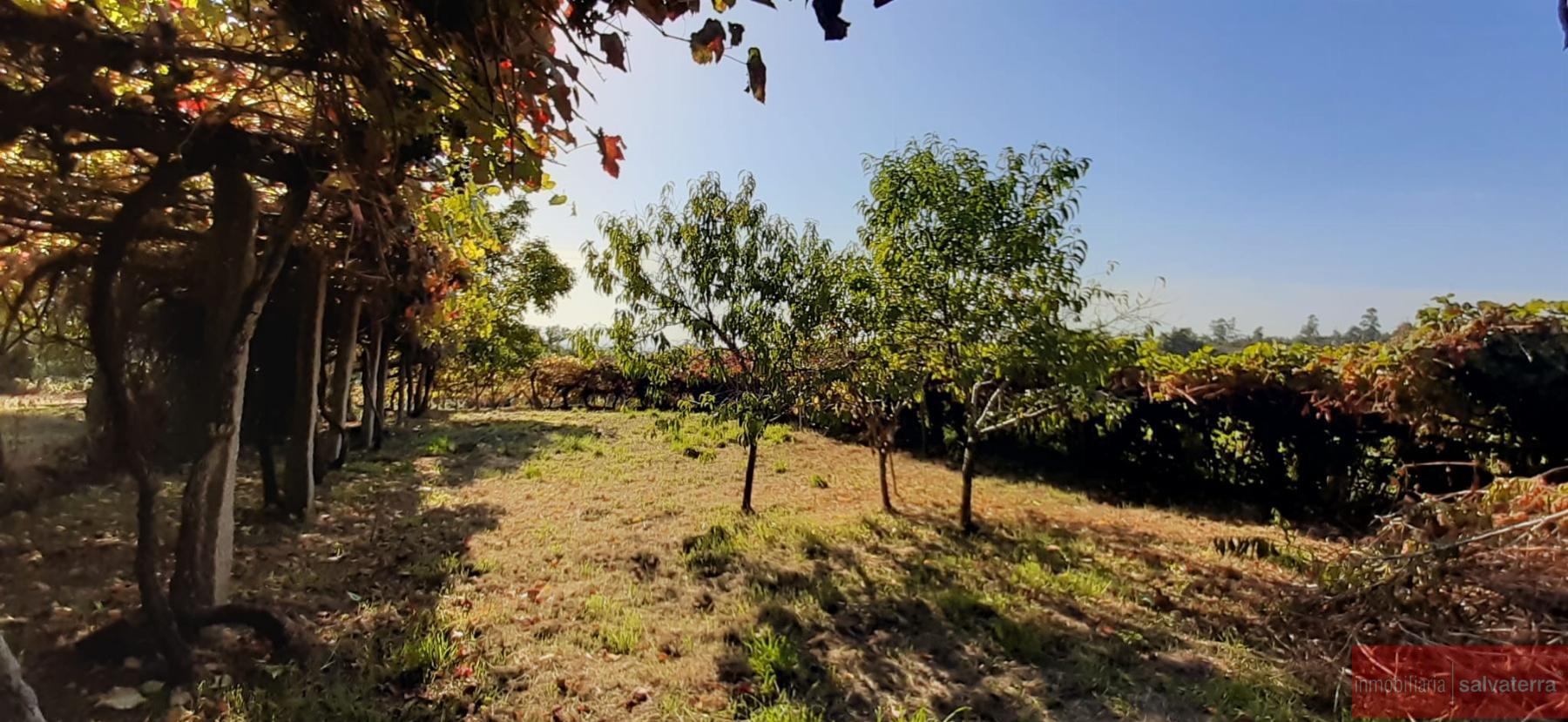 Venta de casa en Neves As