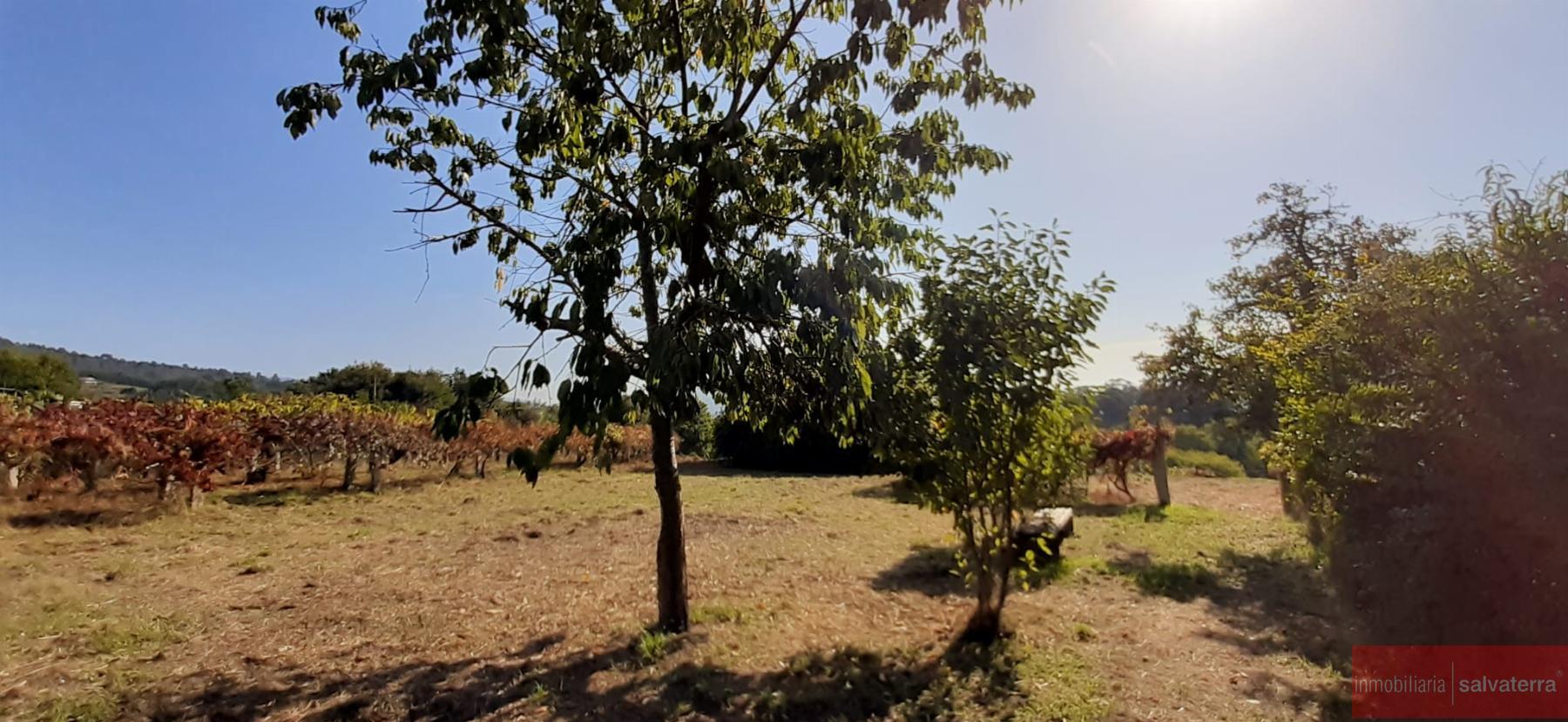 Venta de casa en Neves As