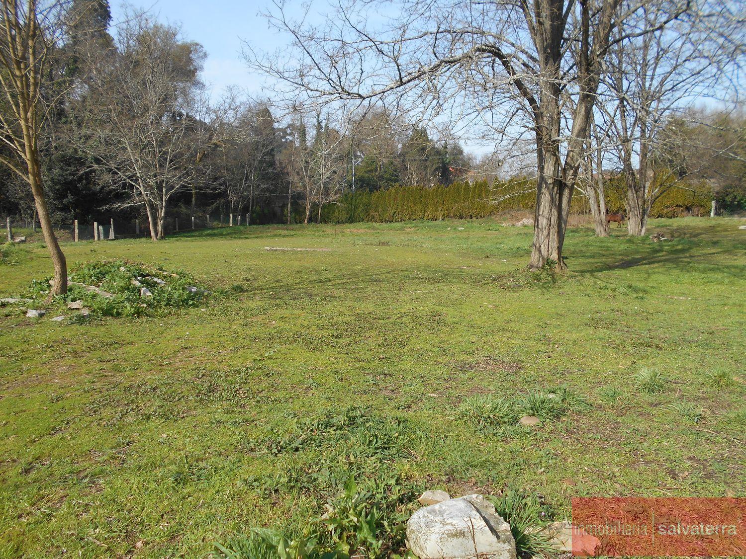 For sale of rural property in Salvaterra de miño