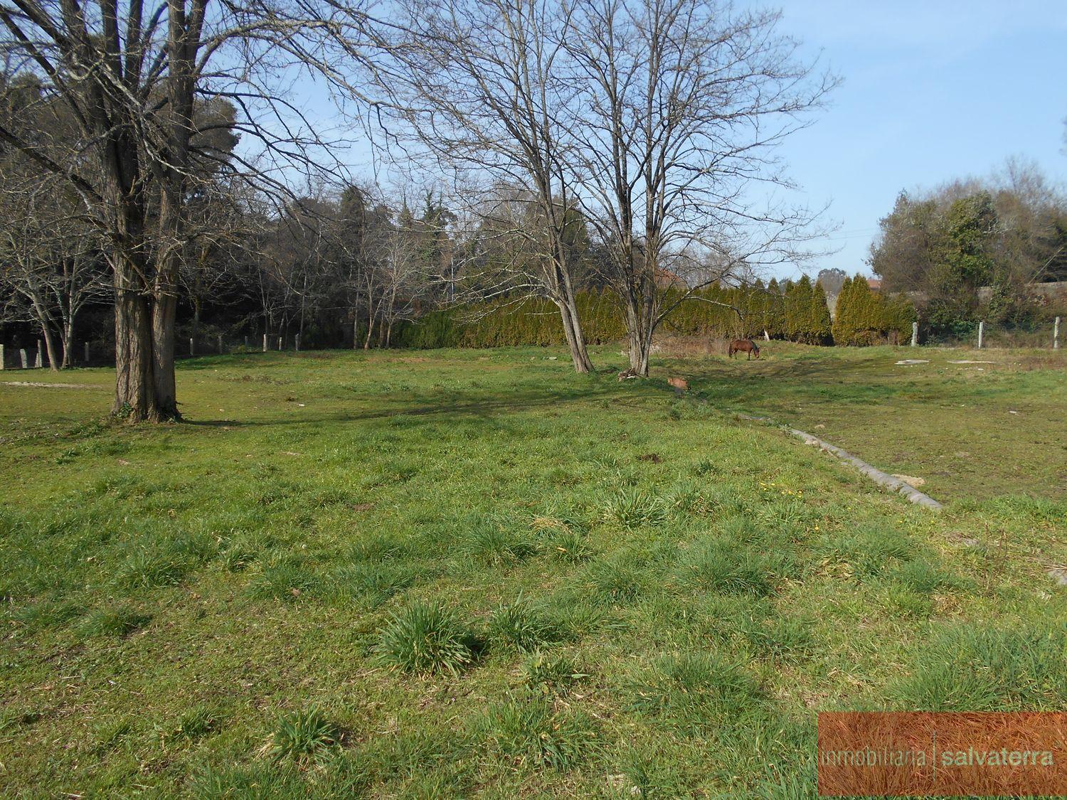 For sale of rural property in Salvaterra de miño