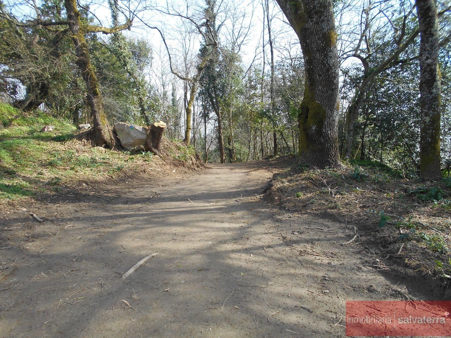For sale of rural property in Salvaterra de miño