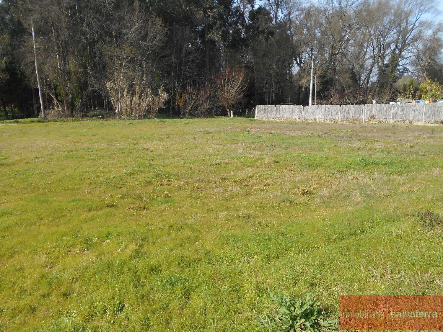 For sale of land in Salvaterra de miño