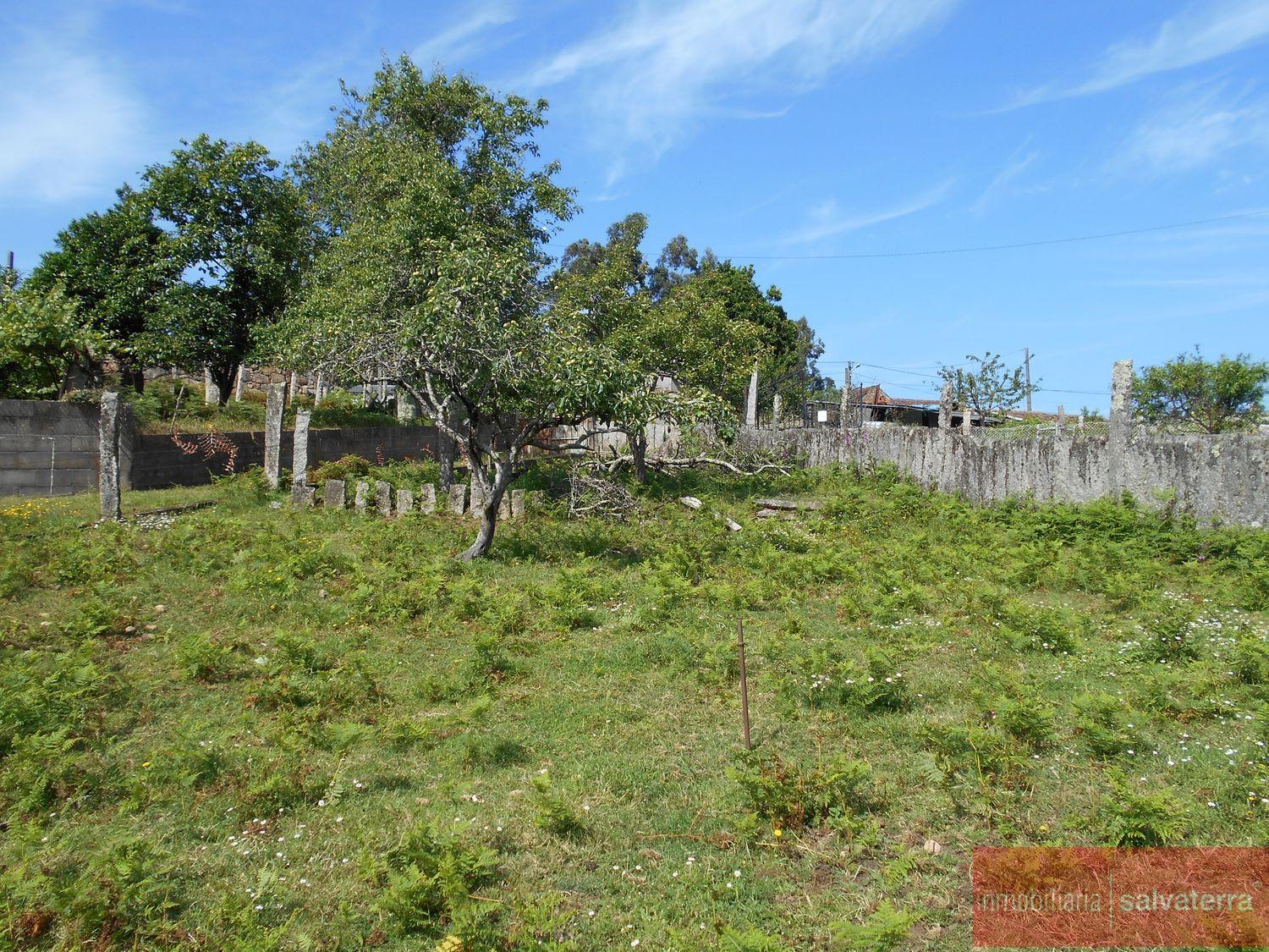 For sale of land in Salvaterra de miño