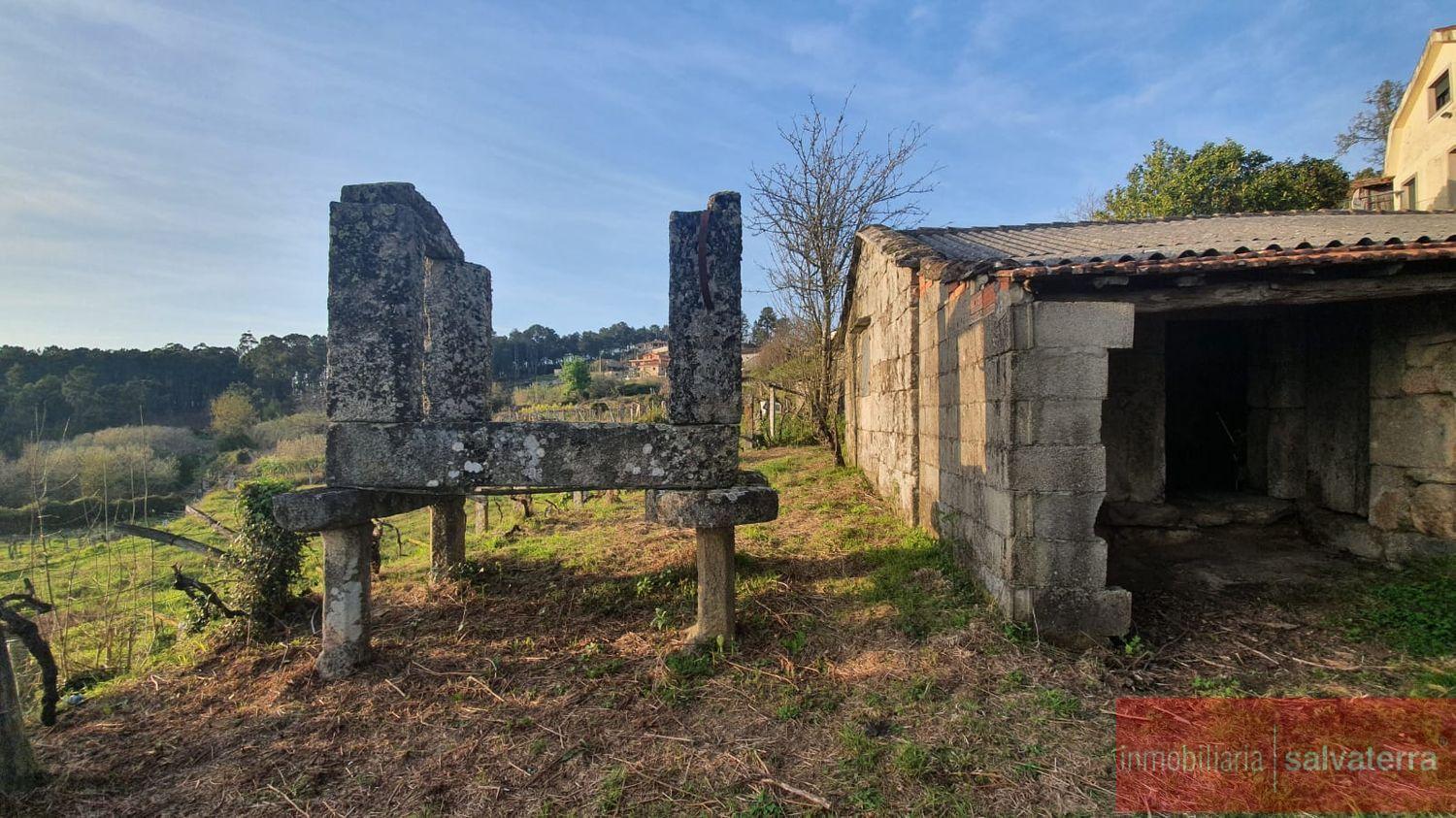 Venta de finca rústica en As neves