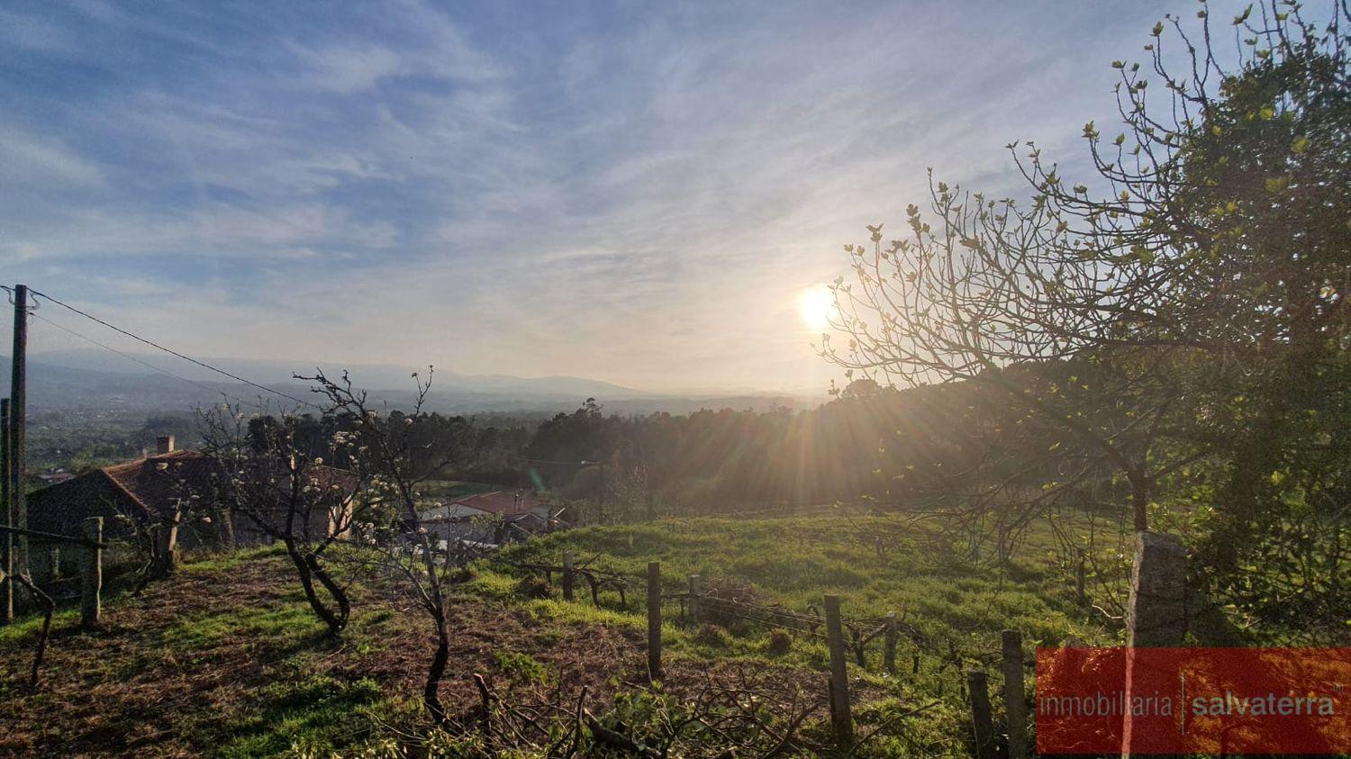 Venta de finca rústica en As neves