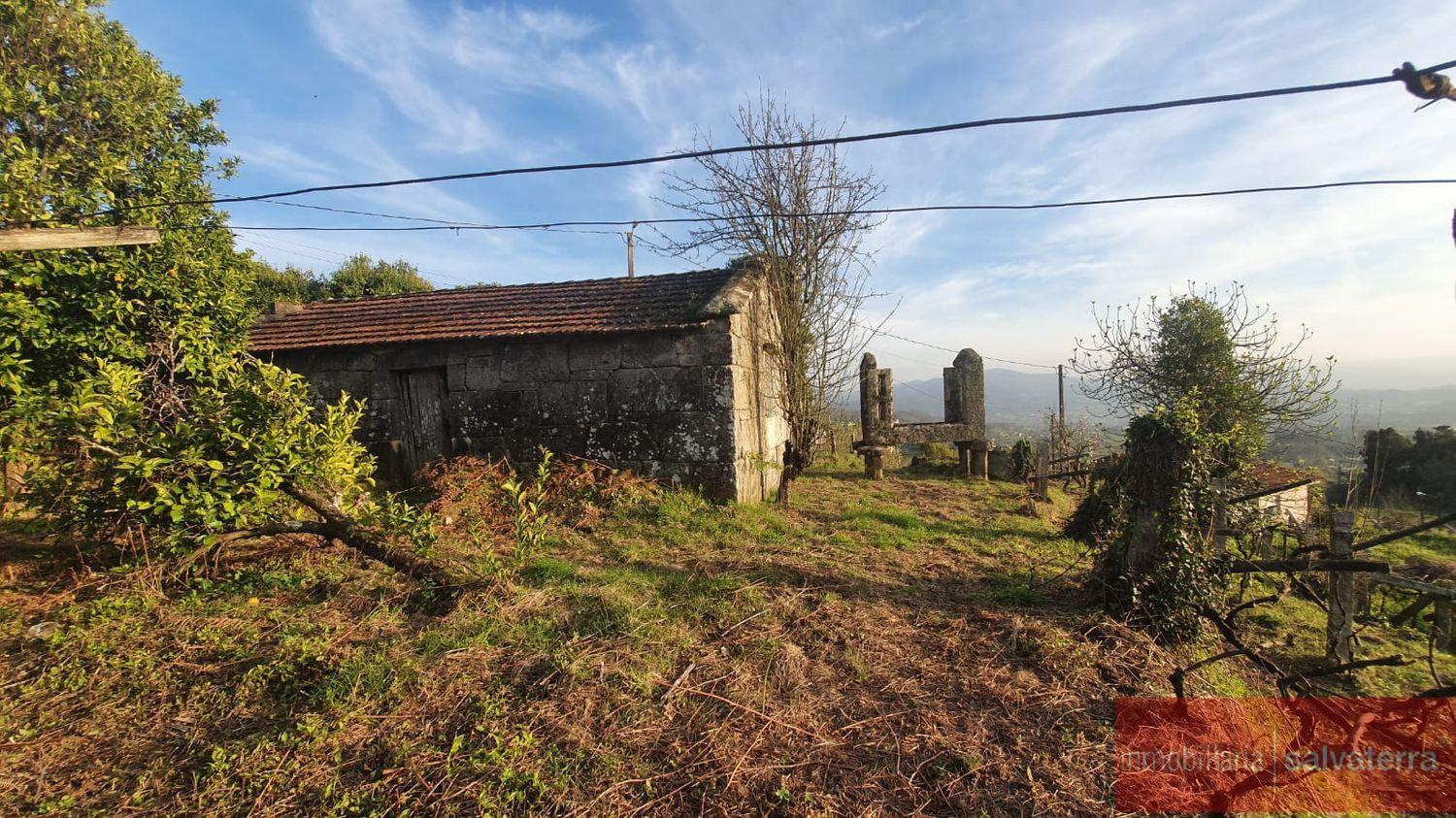 Venta de finca rústica en As neves