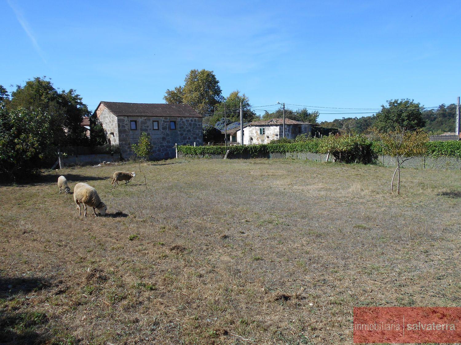 For sale of land in Salvaterra de miño