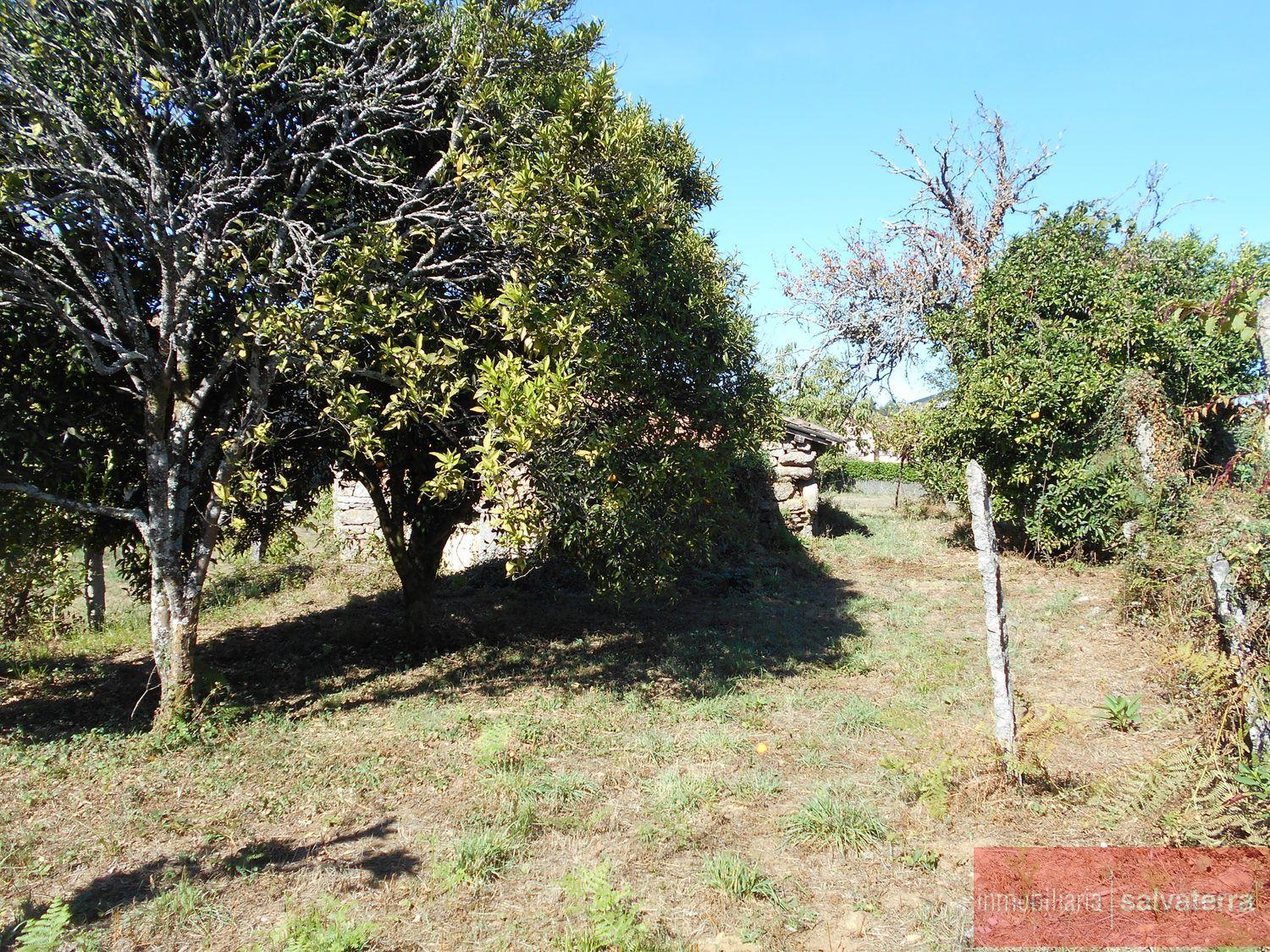 For sale of land in Salvaterra de miño