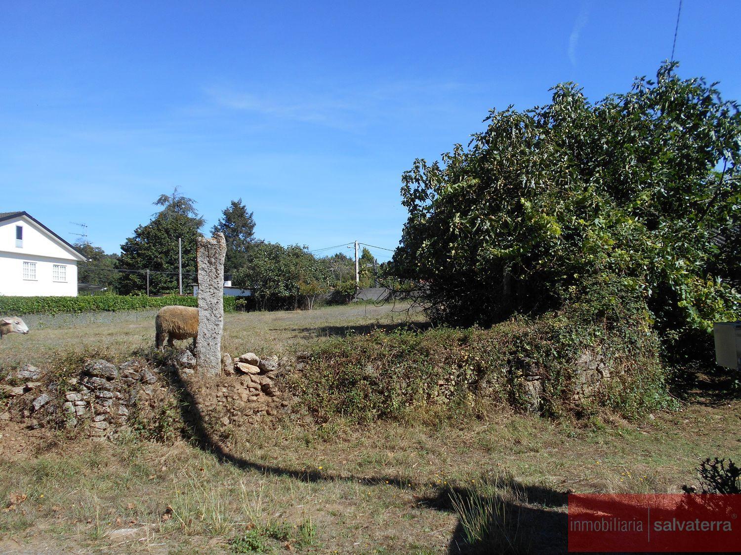 For sale of land in Salvaterra de miño