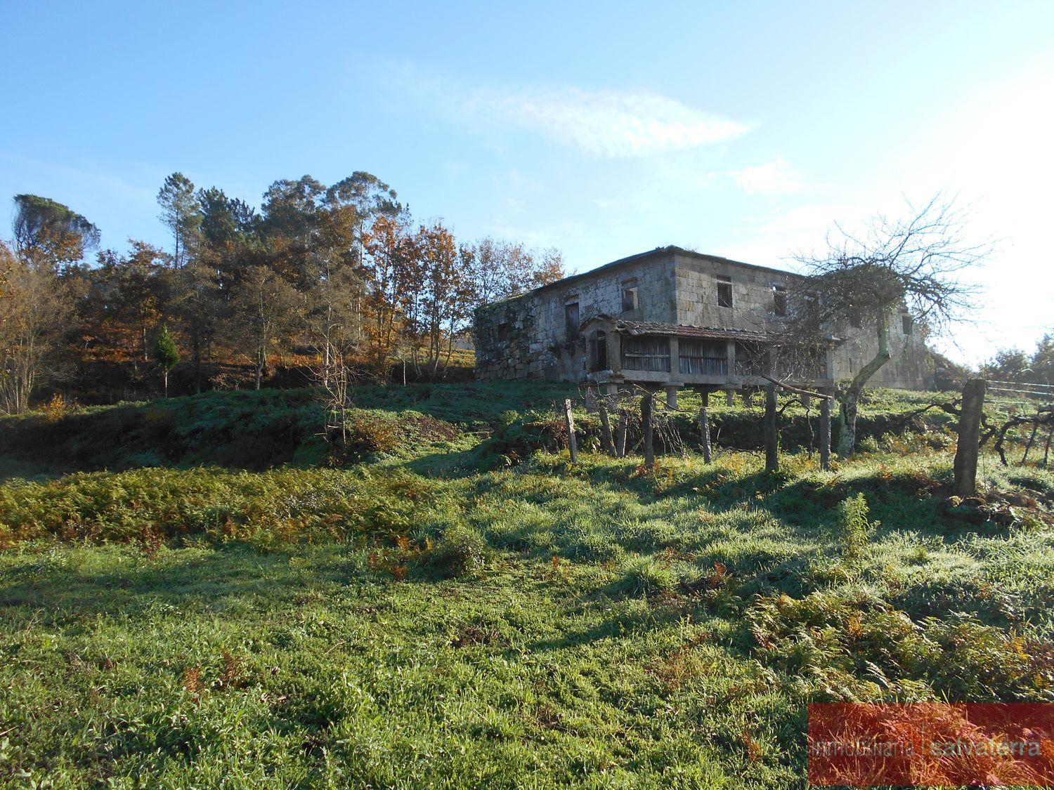 Venta de finca rústica en As neves